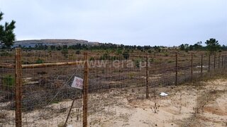 Land for sale in Palmela, Portugal — €39,900