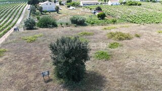 Land for sale in Palmela, Portugal — €65,000