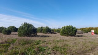 Land for sale in Sines, Portugal — €150,000