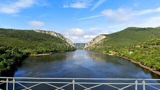 Land for sale in Nisa, Portugal — €45,000
