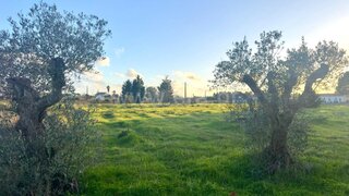 Land for sale in Palmela, Portugal — €128,000
