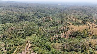 Land for sale in Santiago do Cacém, Portugal — €75,000