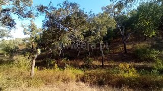 Land for sale in Santiago do Cacém, Portugal — €220,000