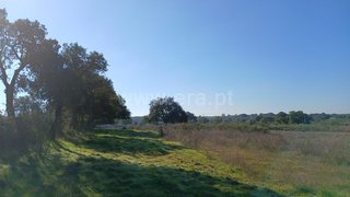 Land for sale in Nisa, Portugal — €37,500