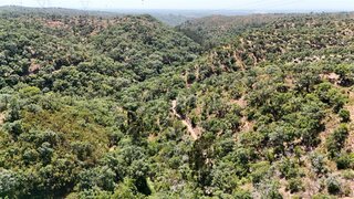 Land for sale in Santiago do Cacém, Portugal — €60,000