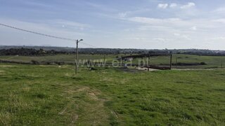 Terreno em Nisa