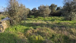 Land for sale in Nisa, Portugal — €27,500
