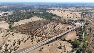 Land for sale in Grândola, Portugal — €100,000