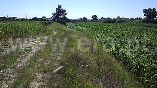 Land for sale in Palmela, Portugal
