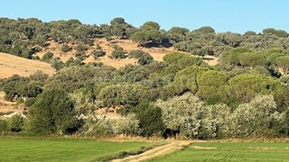 Land for sale in Alcácer do Sal, Portugal — €165,000