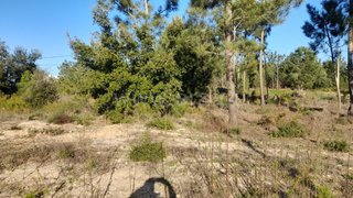 Land for sale in Palmela, Portugal — €79,900