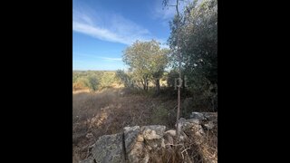 Terreno · 2500 m² · 8500 €