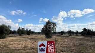 Terreno para venda em Ponte de Sor, Portugal — 70 000 €