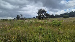 Land for sale in Palmela, Portugal — €95,000