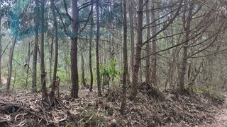 Land for sale in Torres Vedras, Portugal — €15,000