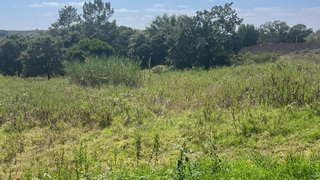 Terreno · 5000 m² · 43 500 €