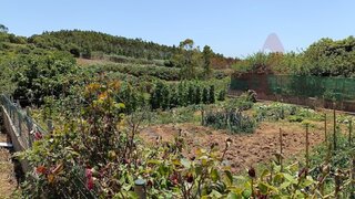 Land for sale in Lourinhã, Portugal — €145,000
