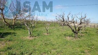 Land for sale in Cadaval, Portugal — €65,000