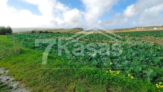 Land for sale in Lourinhã, Portugal — €60,000