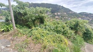 Terreno em Ribeira Brava