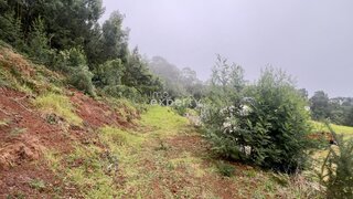 Land for sale in Machico, Portugal — €450,000