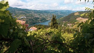 Terreno em Baião · 3000 m² · 109 000 €