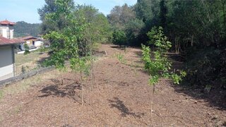Land for sale in Santo Tirso, Portugal — €180,000