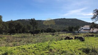 Terreno · 12 500 m² · 1 250 000 €