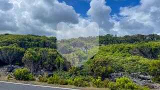 Land for sale in Funchal, Portugal — €110,000