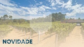 Land for sale in Monção, Portugal — €125,000