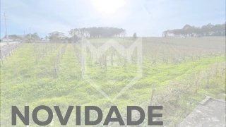 Land for sale in Monção, Portugal — €493,500