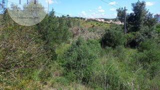 Terreno em Vila do Bispo