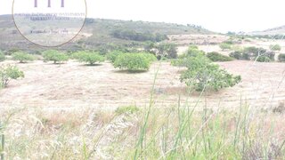 Land for sale in Vila do Bispo, Portugal — €75,000