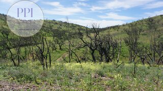 Land for sale in Vila do Bispo, Portugal — €80,000