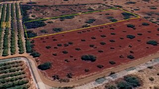 Land for sale in Silves, Portugal — €29,500