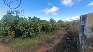 Land for sale in Silves, Portugal — €135,000