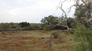 Land for sale in Loulé, Portugal — €24,000