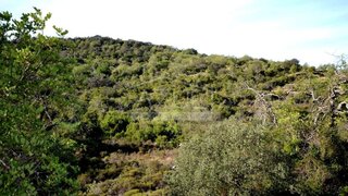 Land for sale in Loulé, Portugal — €35,000