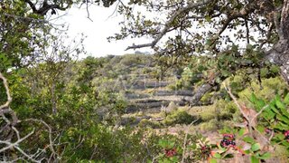 Land for sale in Loulé, Portugal — €55,000