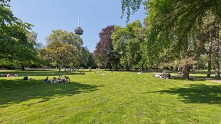 casafari-bild