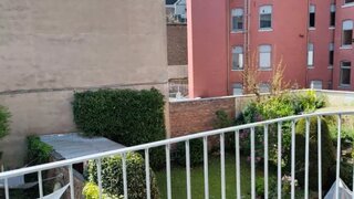 casafari-img