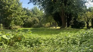 Immobilie verkauft - Thater Immobilien