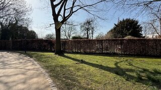 casafari-bild