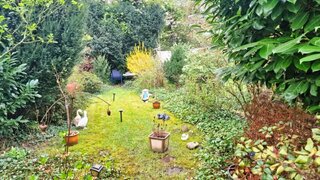 casafari-bild