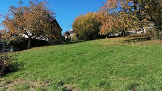 Alttag