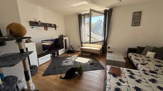 casafari-bild