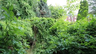 casafari-bild