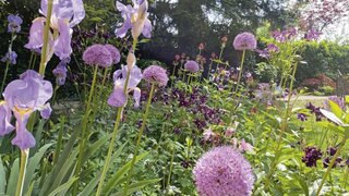 casafari-bild