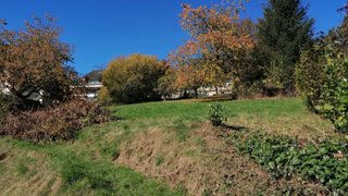 casafari-bild