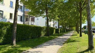 casafari-bild